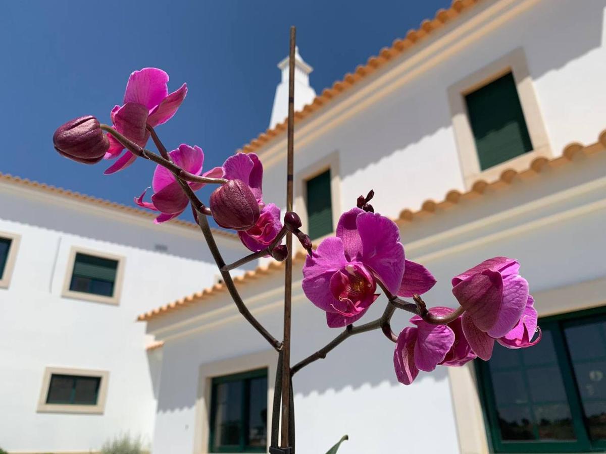 Casa Mineira Guest House Ferreiras Exterior foto